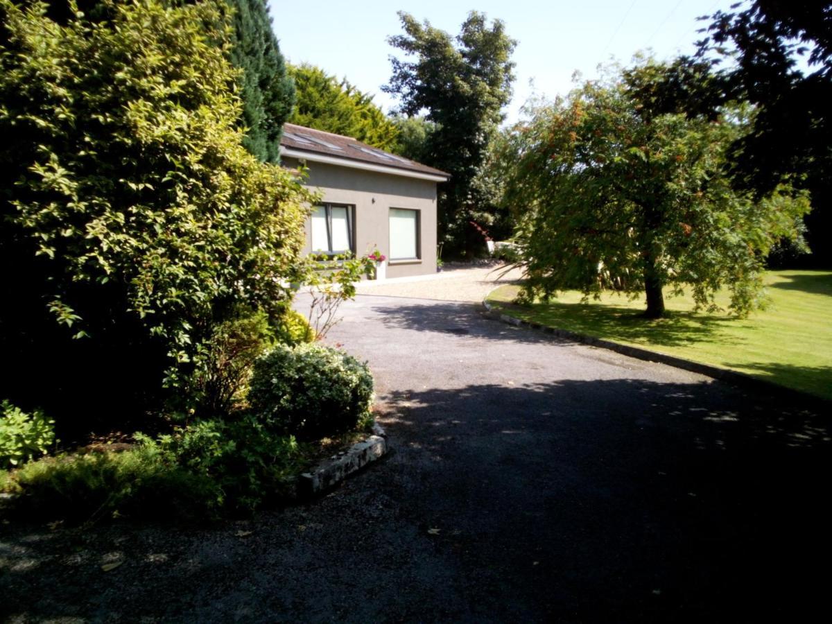 Spacious Contemporary Chalet Type Apartment. Galway Exterior foto