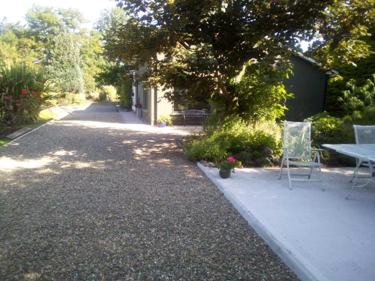 Spacious Contemporary Chalet Type Apartment. Galway Exterior foto