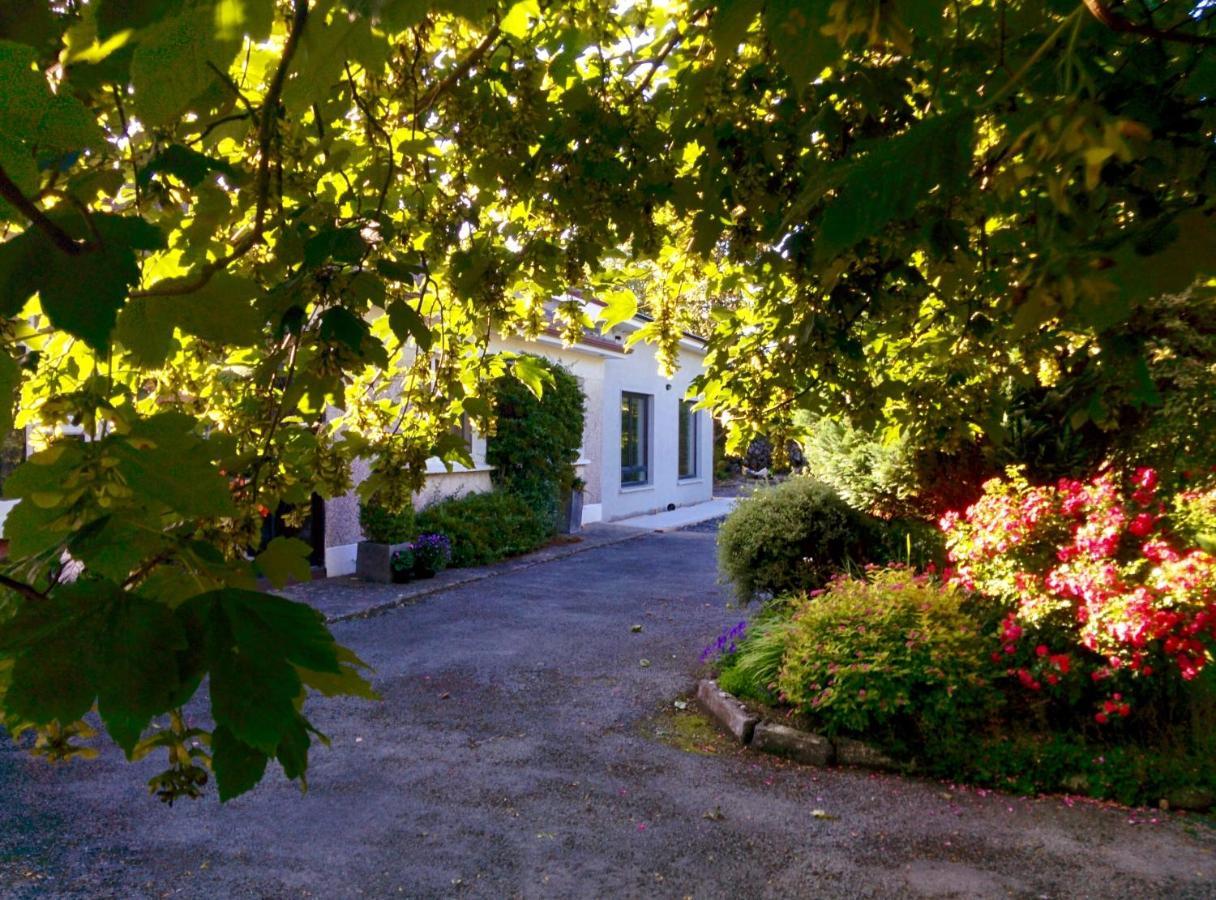 Spacious Contemporary Chalet Type Apartment. Galway Exterior foto