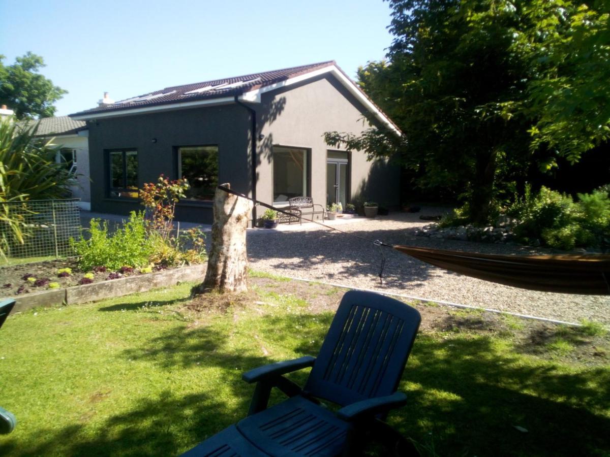 Spacious Contemporary Chalet Type Apartment. Galway Exterior foto