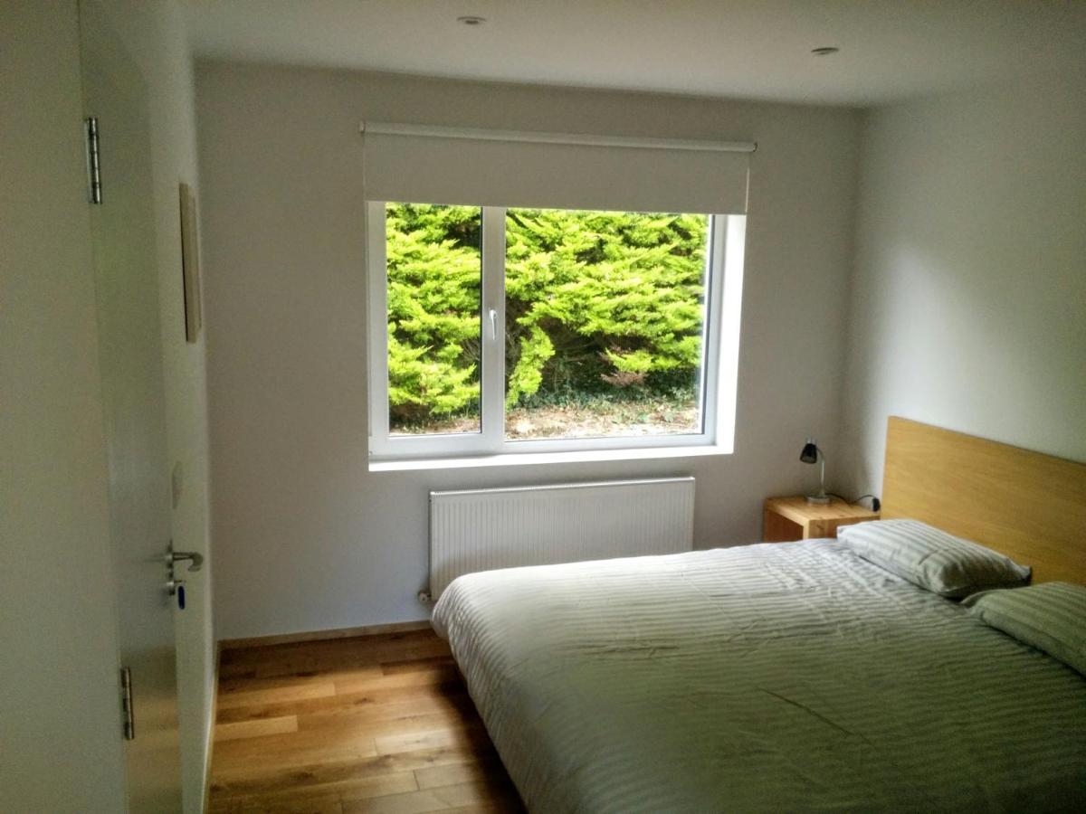 Spacious Contemporary Chalet Type Apartment. Galway Exterior foto
