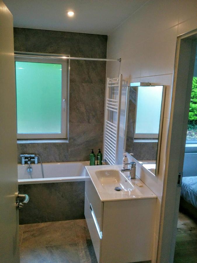 Spacious Contemporary Chalet Type Apartment. Galway Exterior foto